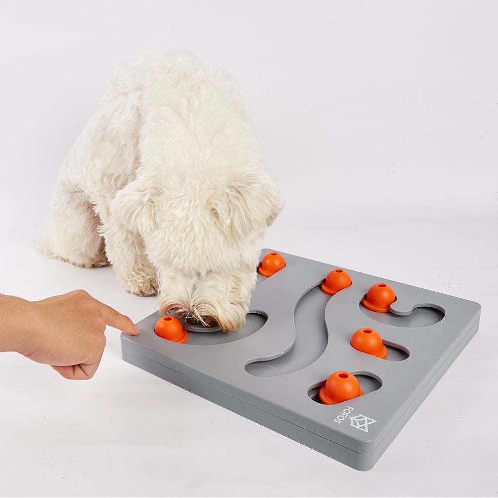 FOFOS Brain Game Treat Puzzle Dog Toy