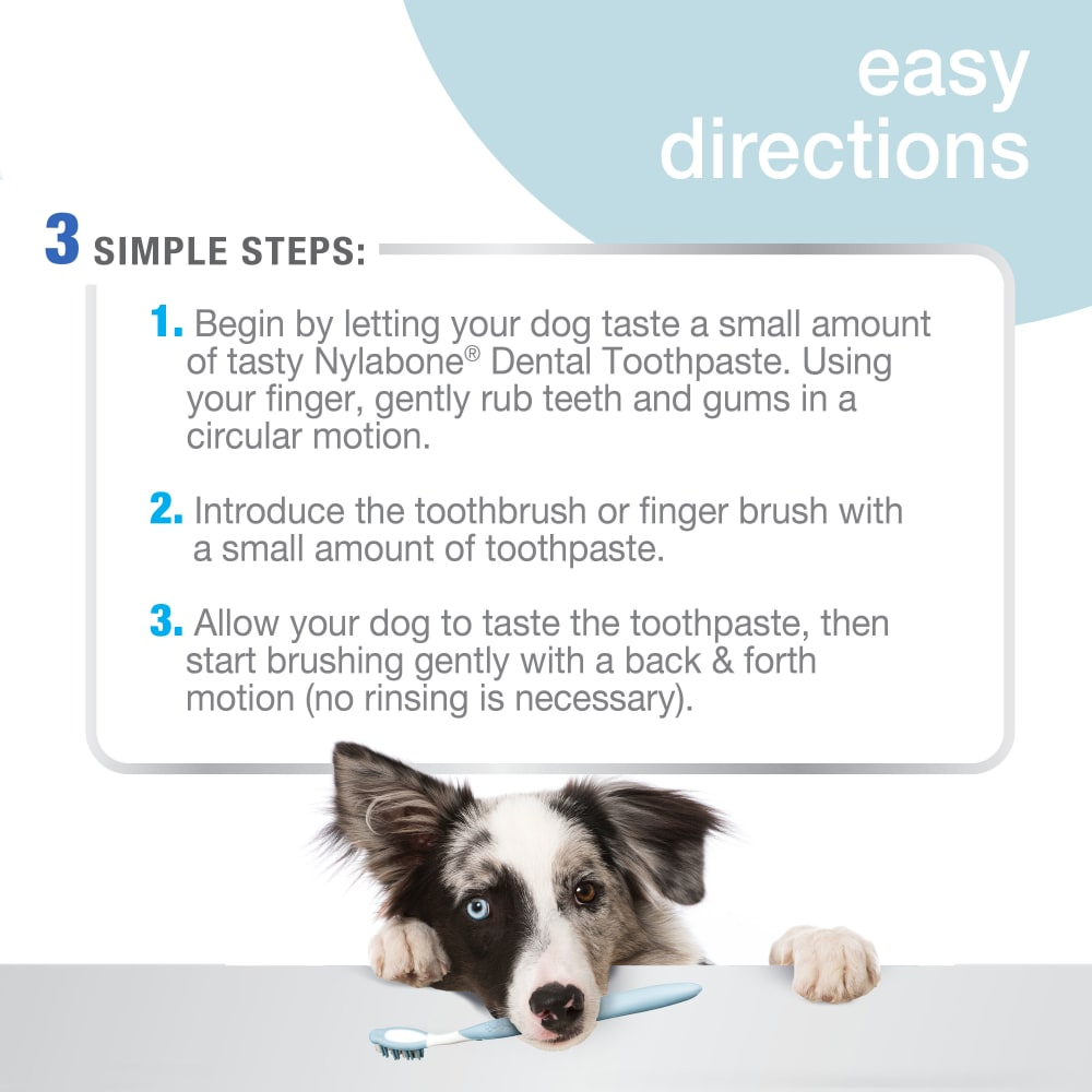 NYLABONE Advanced Oral Care Tartar Control Dog Toothpaste 70g