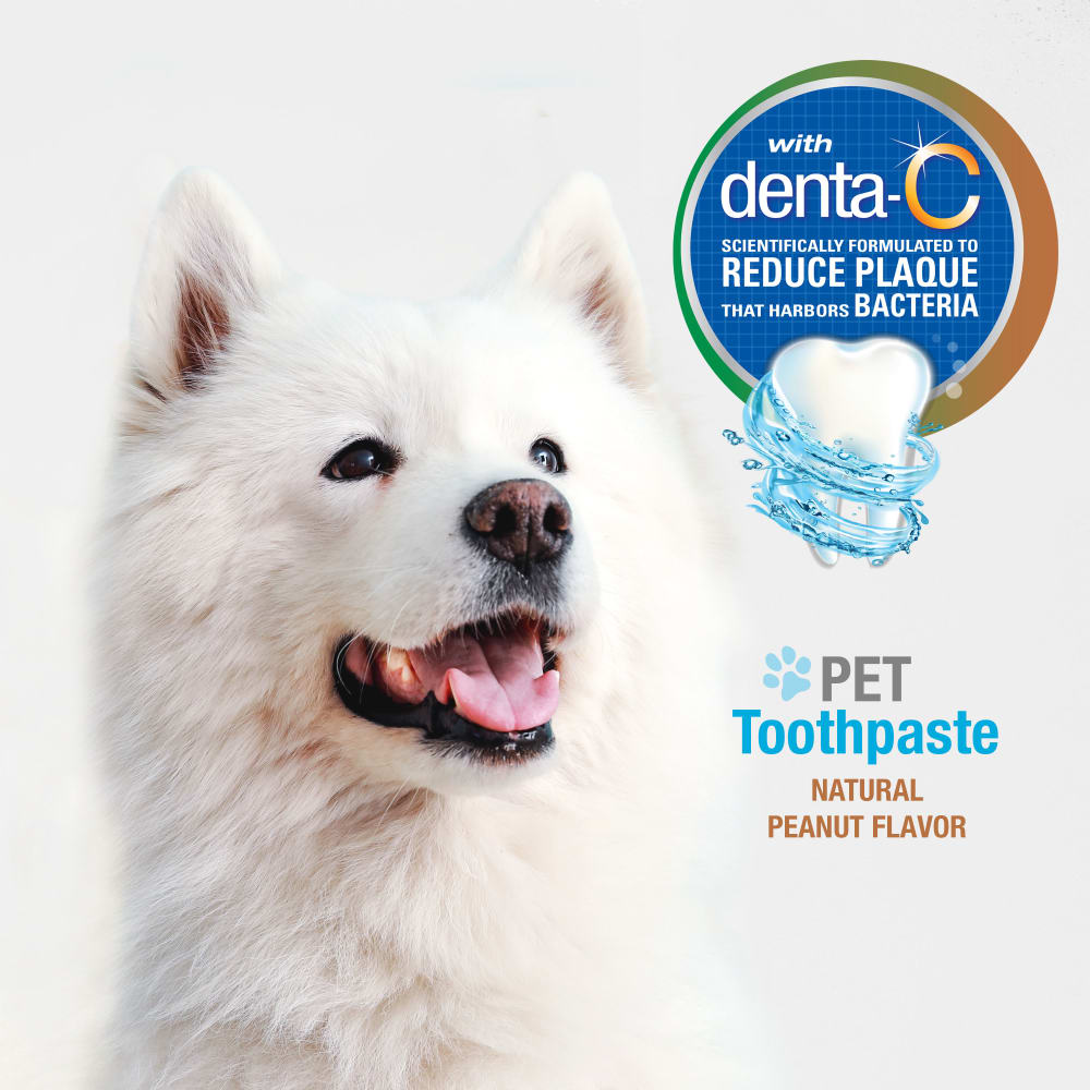 NYLABONE Advanced Oral Care Natural Dog Toothpaste Peanut Flavour 70g