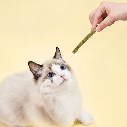 BITING MUSIC Green Polygonum Catnip Cat Mint Stick 6 Pack