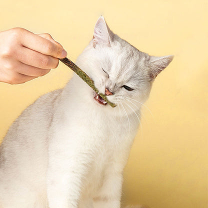 BITING MUSIC Green Polygonum Catnip Cat Mint Stick 6 Pack