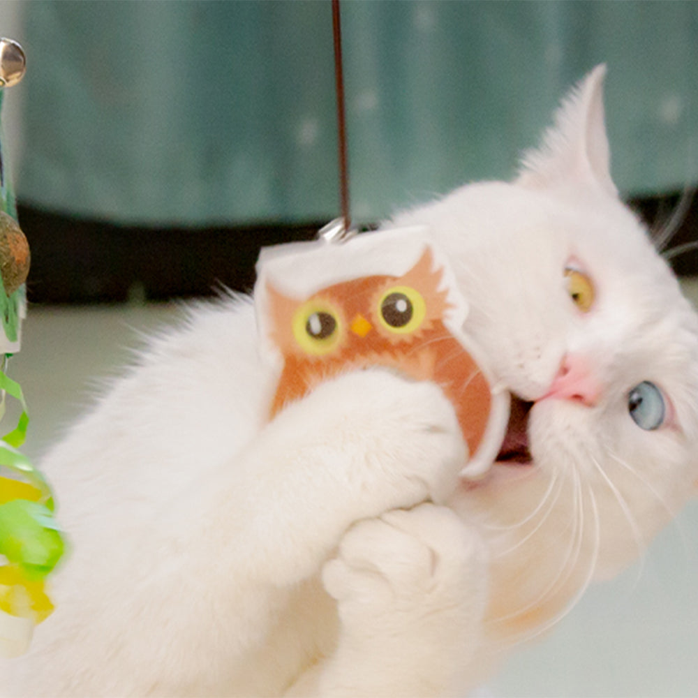 Owl Hanging Door with Elastic Swing & Catnip Ball Cat Toy