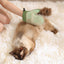 Double-sided Usable Green Hair Remover Pet Grooming Hand Gloves