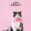 Pink Crown Glitter Pet Birthday Headgear Set