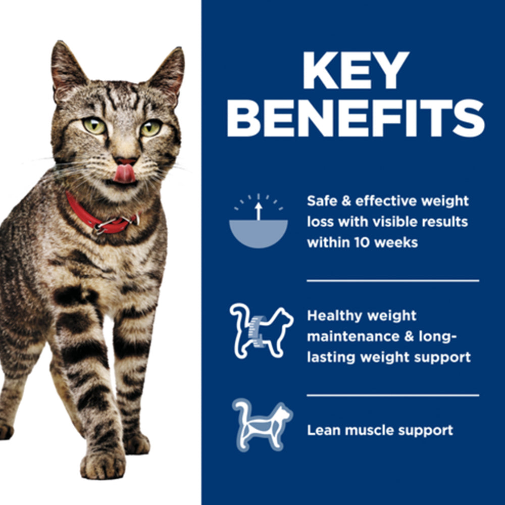 HILLS Science Diet Perfect Weight Vegetable & Salmon Adult Wet Cat Food 82g/82gx24