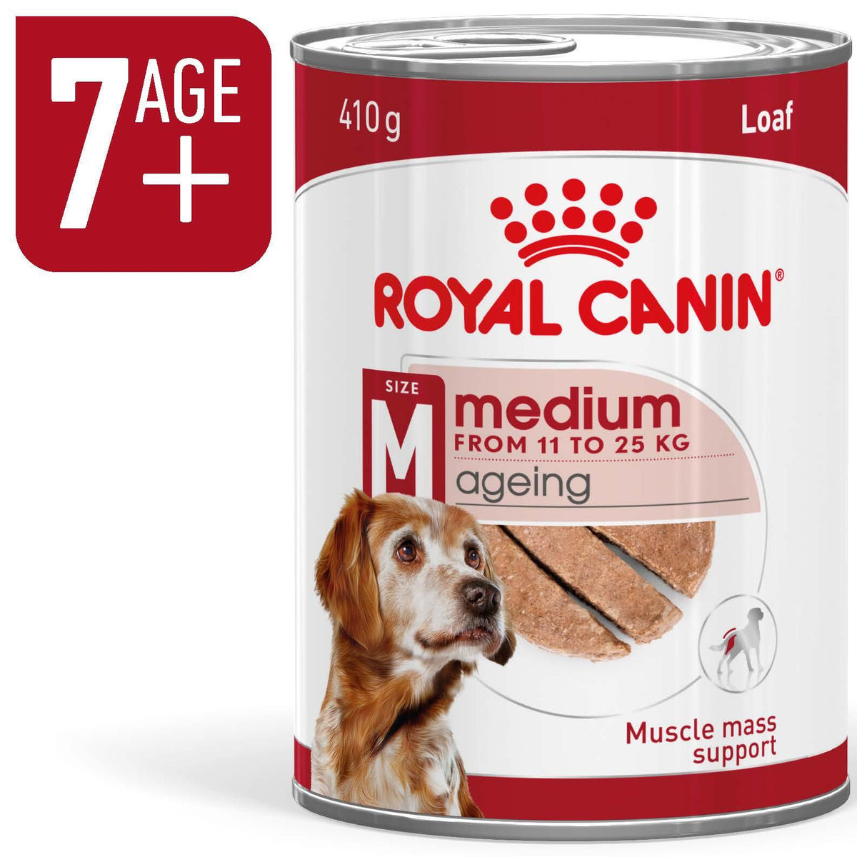 ROYAL CANIN Medium Ageing Loaf Wet Dog Food