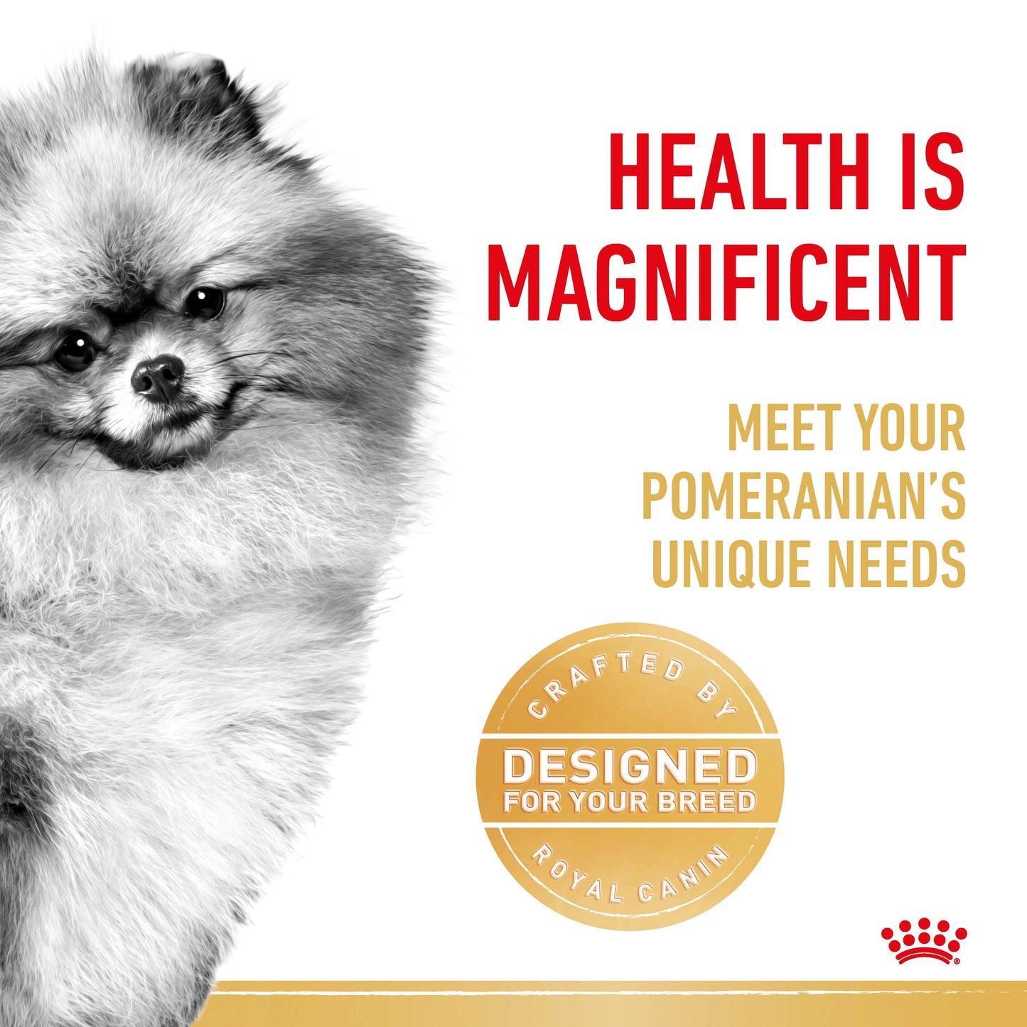ROYAL CANIN Pomeranian Adult Wet Dog Food
