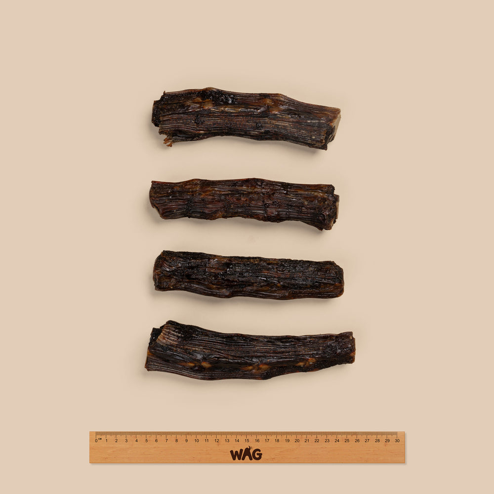 WAG Kangaroo Tail Bone