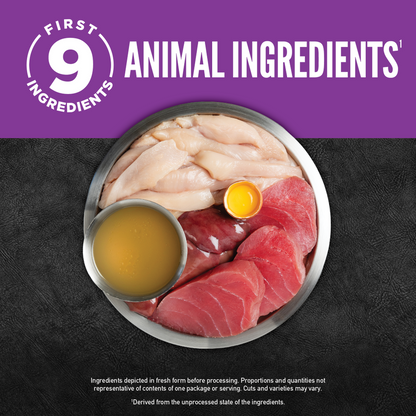 ORIJEN Chunks & Shreds - Chicken & Tuna Entrée Kitten Wet Cat Food