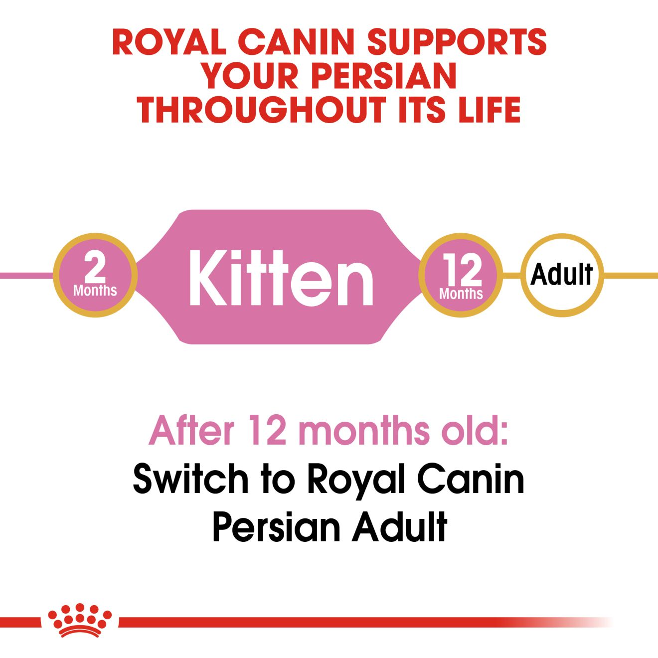 ROYAL CANIN Persian Kitten Dry Cat Food 2kg