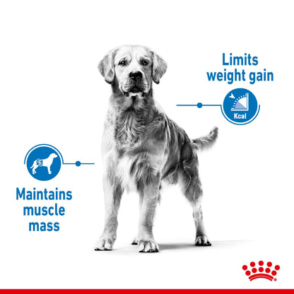 ROYAL CANIN Max Light Weight Care Adult Dry Dog Food 12kg