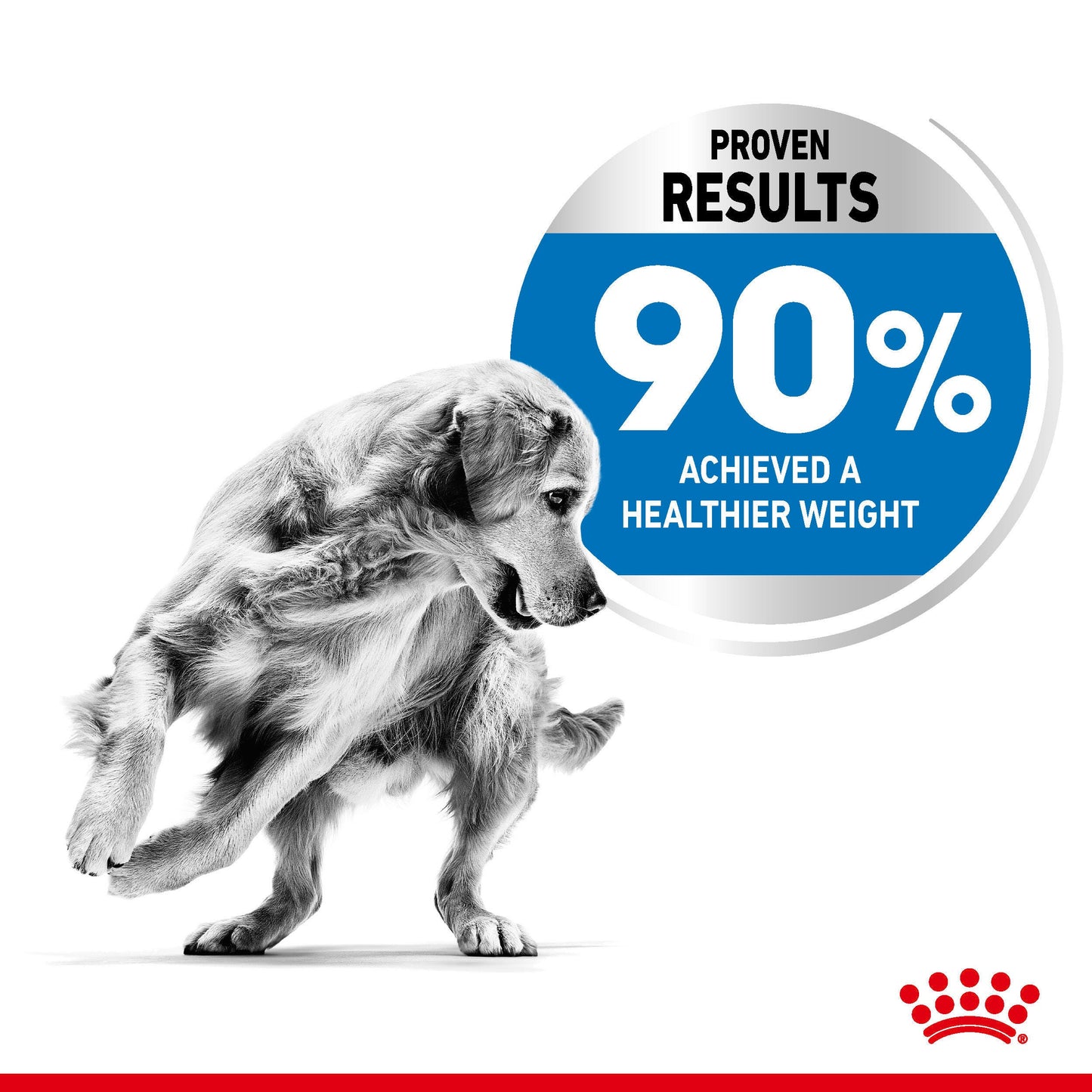 ROYAL CANIN Max Light Weight Care Adult Dry Dog Food 12kg