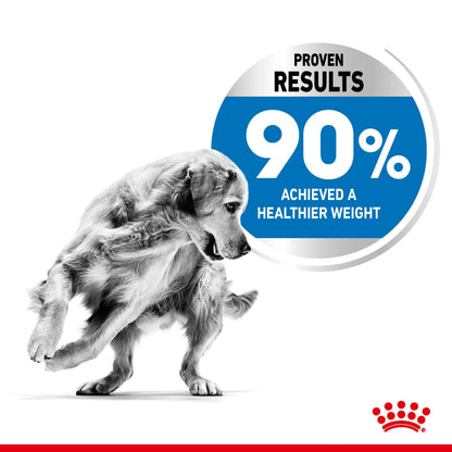 ROYAL CANIN Max Light Weight Care Adult Dry Dog Food 12kg