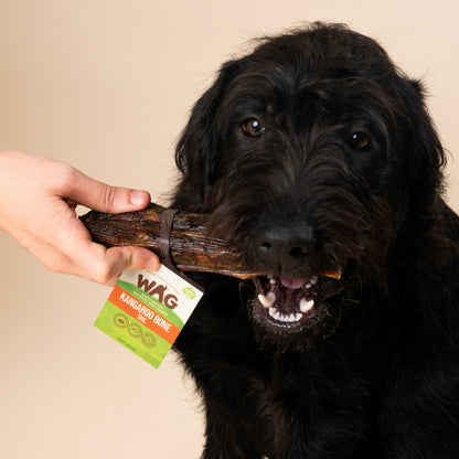 WAG Kangaroo Tail Bone