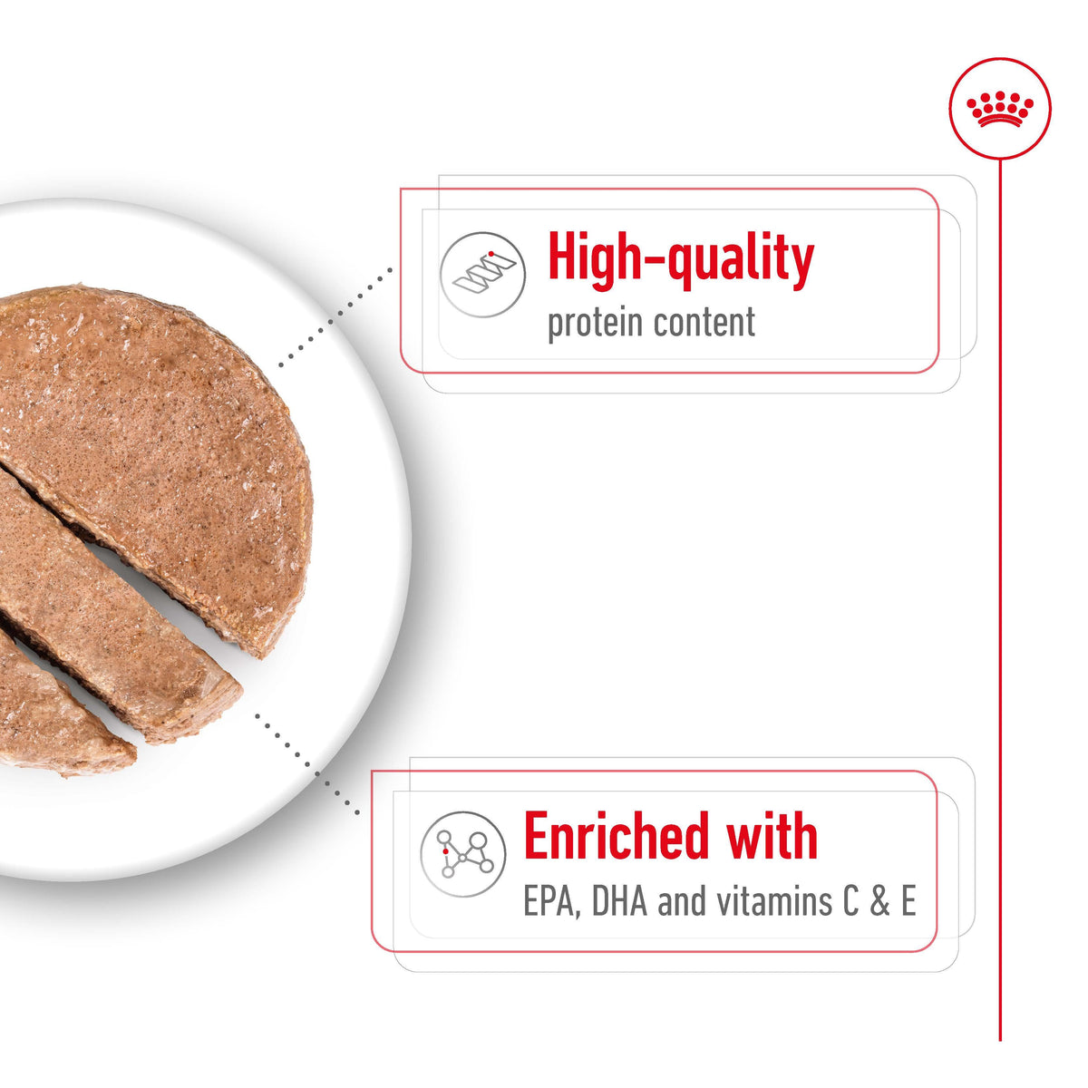 ROYAL CANIN Medium Ageing Loaf Wet Dog Food
