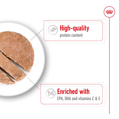 ROYAL CANIN Medium Ageing Loaf Wet Dog Food