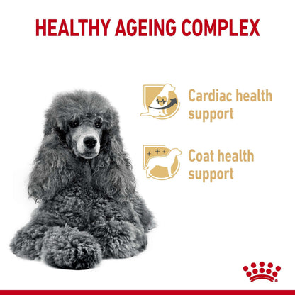 ROYAL CANIN Poodle 8+ Adult Dry Dog Food 1.5kg