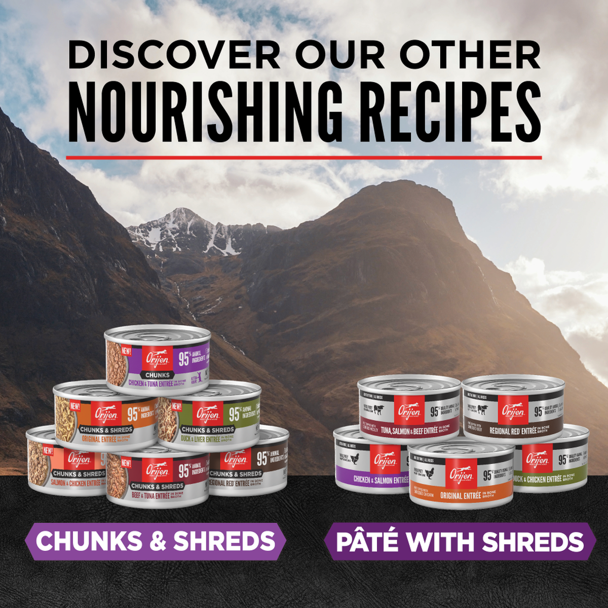 ORIJEN Chunks & Shreds - Chicken & Tuna Entrée Kitten Wet Cat Food