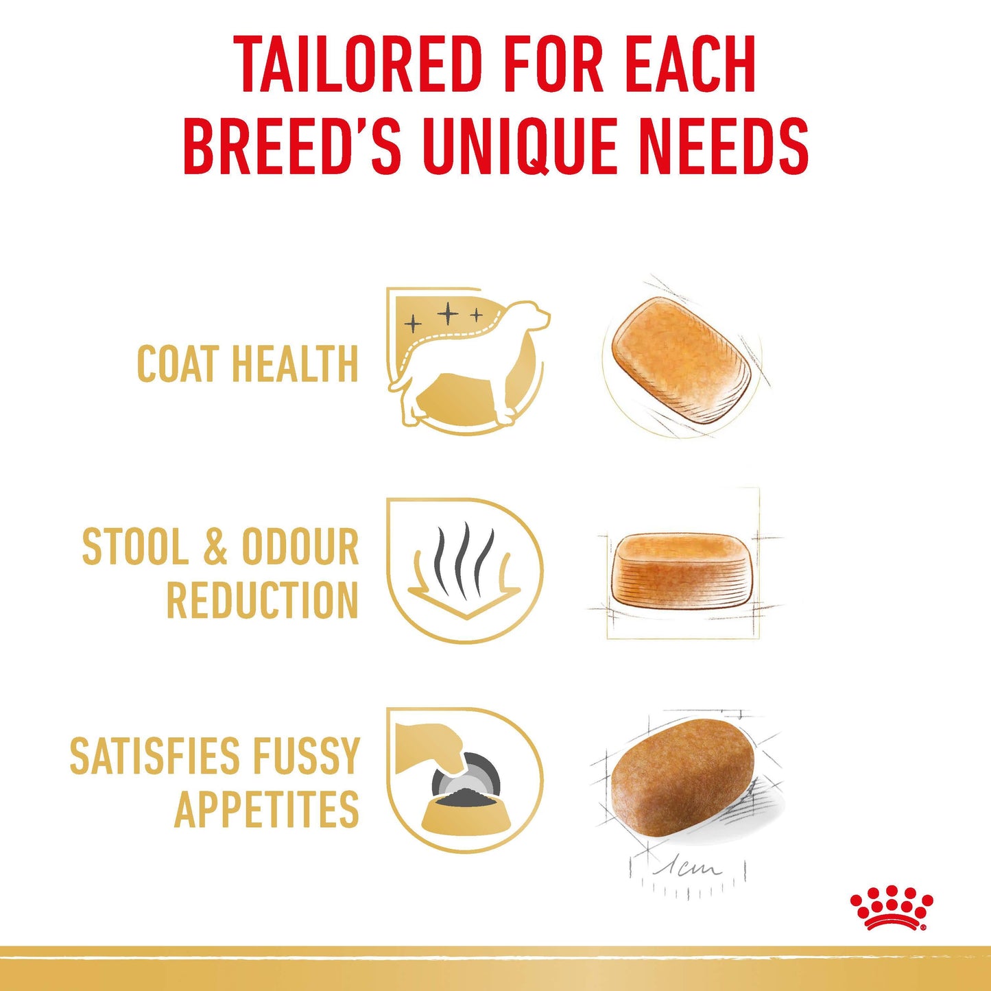 ROYAL CANIN Maltese Adult Dry Dog Food 1.5kg