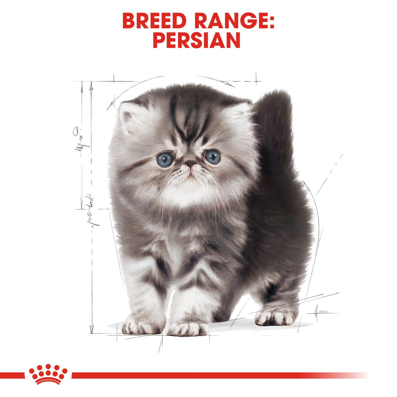 ROYAL CANIN Persian Kitten Dry Cat Food 2kg