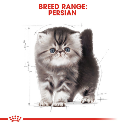 ROYAL CANIN Persian Kitten Dry Cat Food 2kg