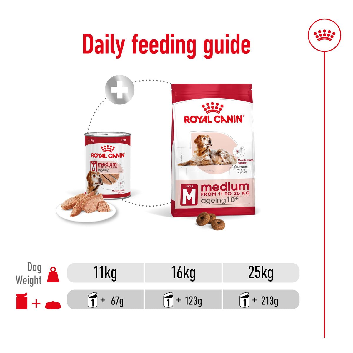 ROYAL CANIN Medium Ageing Loaf Wet Dog Food