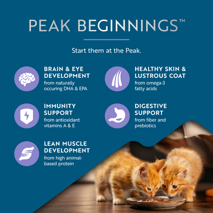 ZIWI PEAK Beef with Mackerel Recipe Kitten Wet Cat Food Cans