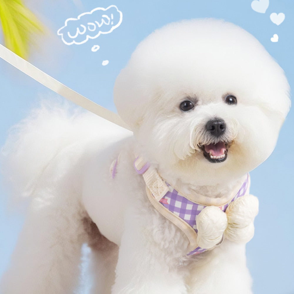 Dog & Cat Harness & Leash Set | Lightweight Check Pattern