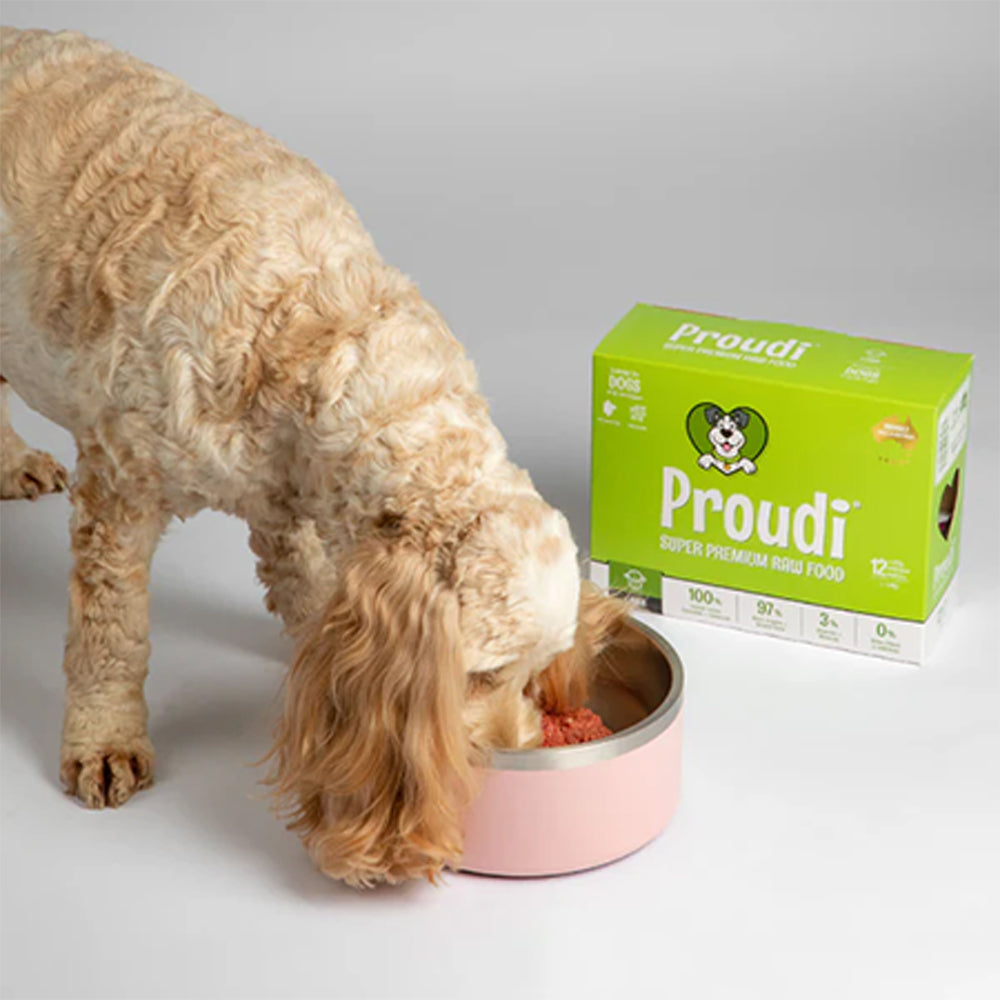 PROUDI Premium Frozen Lamb Raw Dog Food 2.4kg