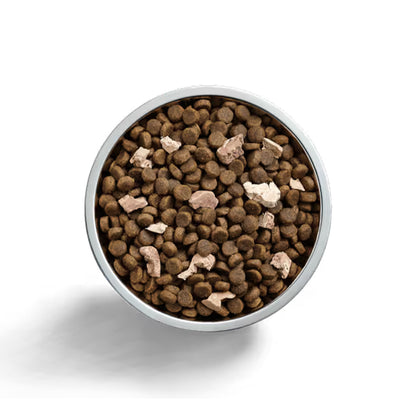 IVORY COAT Raw Health Sensitive Care Dog Food 1.8kg