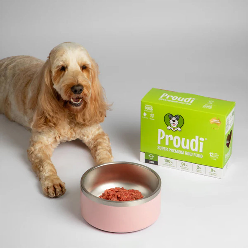 PROUDI Premium Frozen Lamb Raw Dog Food 2.4kg
