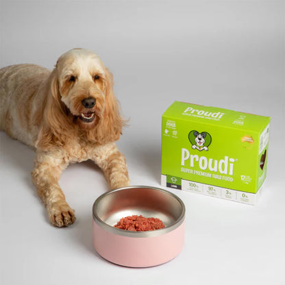 PROUDI Premium Frozen Lamb Raw Dog Food 2.4kg