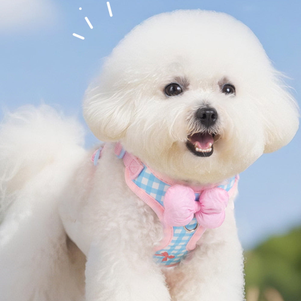 Dog & Cat Harness & Leash Set | Lightweight Check Pattern
