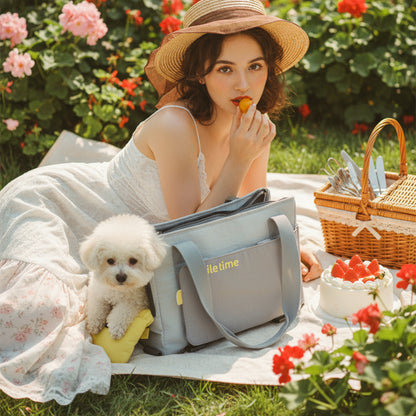 SMILE TIME Ergonomic Head-Out Pet Carrier 40x25x17.5cm