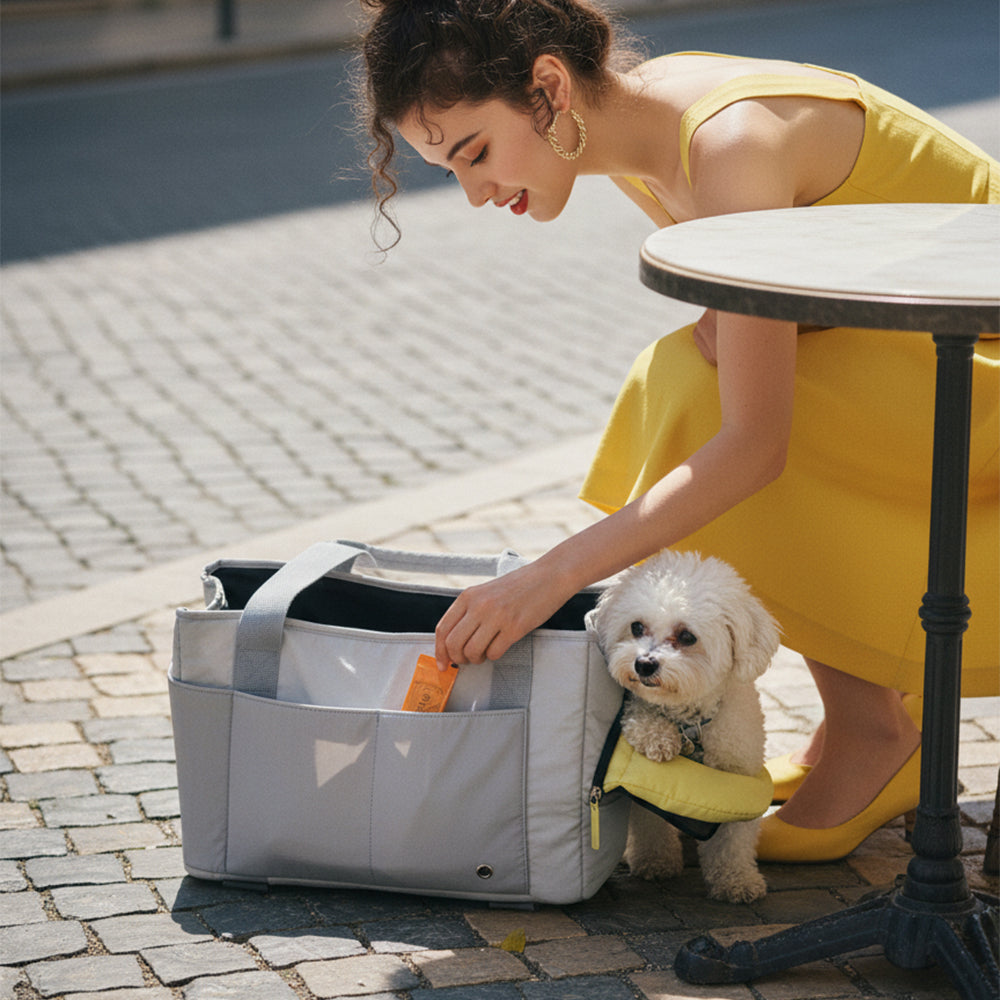 SMILE TIME Ergonomic Head-Out Pet Carrier 40x25x17.5cm