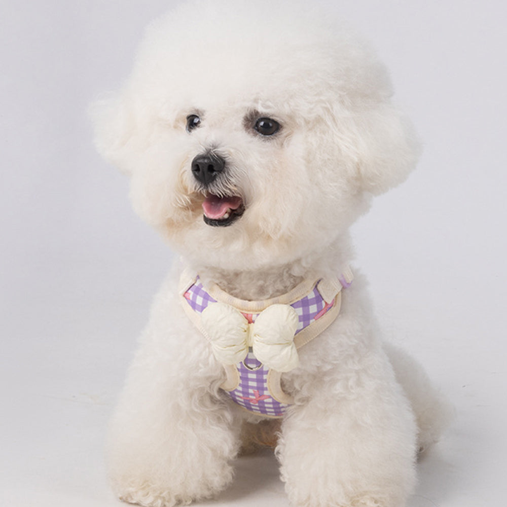 Dog & Cat Harness & Leash Set | Lightweight Check Pattern