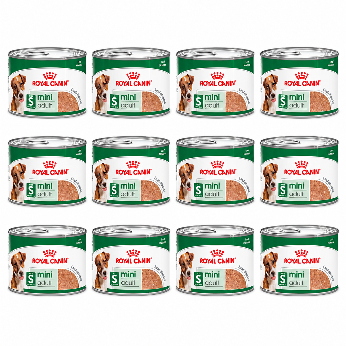 ROYAL CANIN Mini Adult Loaf Wet Dog Food