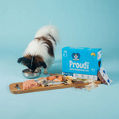 PROUDI Premium Frozen Ocean Combo & Turkey Raw Dog Food 2.4kg