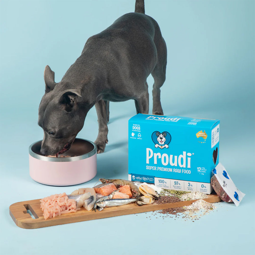 PROUDI Premium Frozen Ocean Combo & Turkey Raw Dog Food 2.4kg