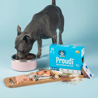 PROUDI Premium Frozen Ocean Combo & Turkey Raw Dog Food 2.4kg