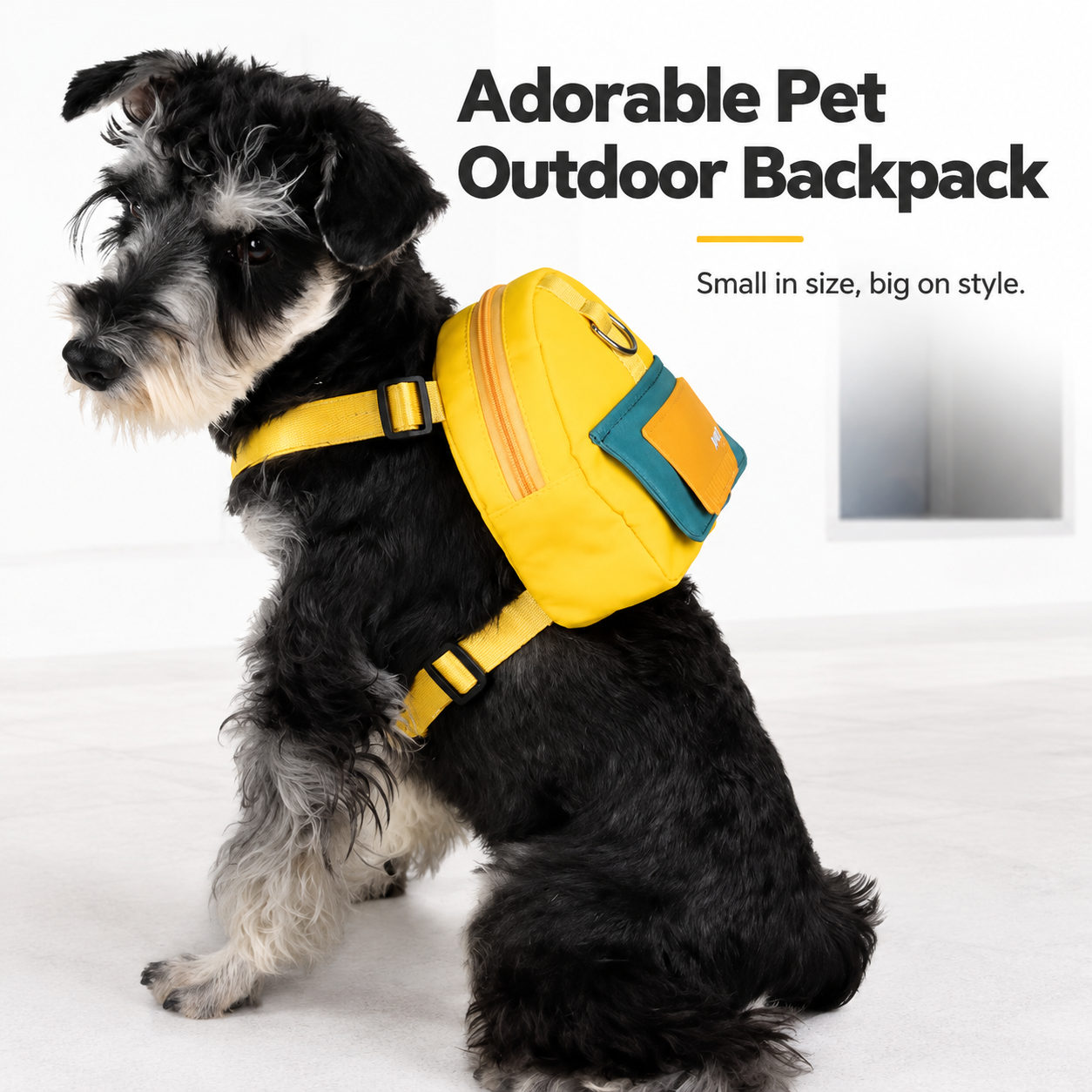 Pet Backpack Carrier with Harness & Leash Set | Escape Proof | Cats & Dogs