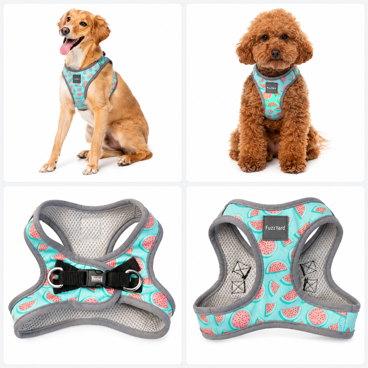 FUZZYARD Summer Punch Dog Harness – Medium & Large