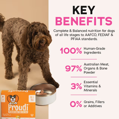 PROUDI Premium Frozen Turkey & Chicken Raw Dog Food 2.4Kg