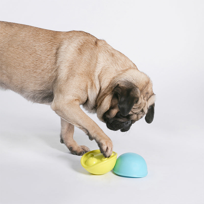 PIDAN Squeaky Turtle Dog Toy - Yellow