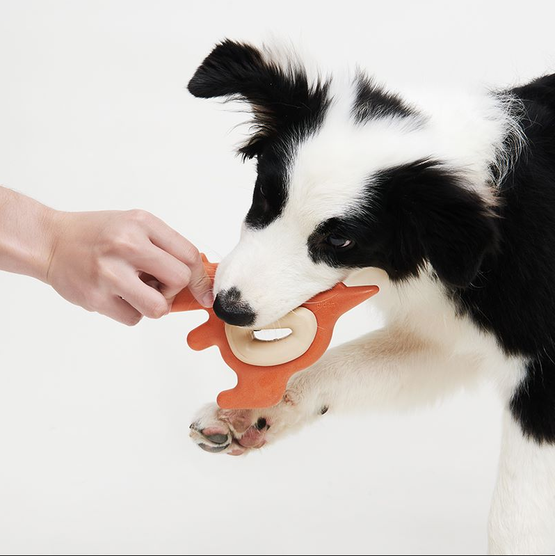 PIDAN Dinosaur Dog Chew Toy