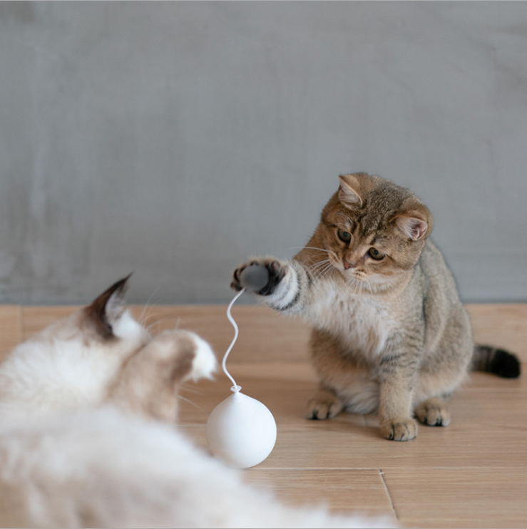 PIDAN Balloon Cat Toy - White