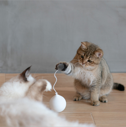 PIDAN Balloon Cat Toy - White