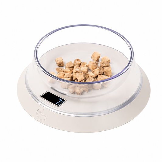 PIDAN Pet Bowl With Scale