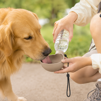 PIDAN Pet Water Feeder - Brown