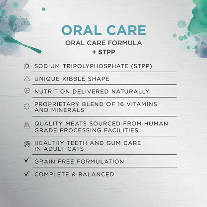 IVORY COAT Raw Health Oral Care Cat Food
